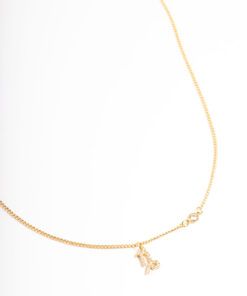 Capricorn Necklace With  Pendant