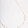 Rose Encased  Short Necklace