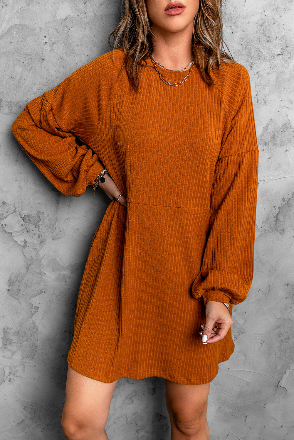 Womens Casual Long Sleeve Mini Dress Crew Neck Loose Knit Dress - Image 4