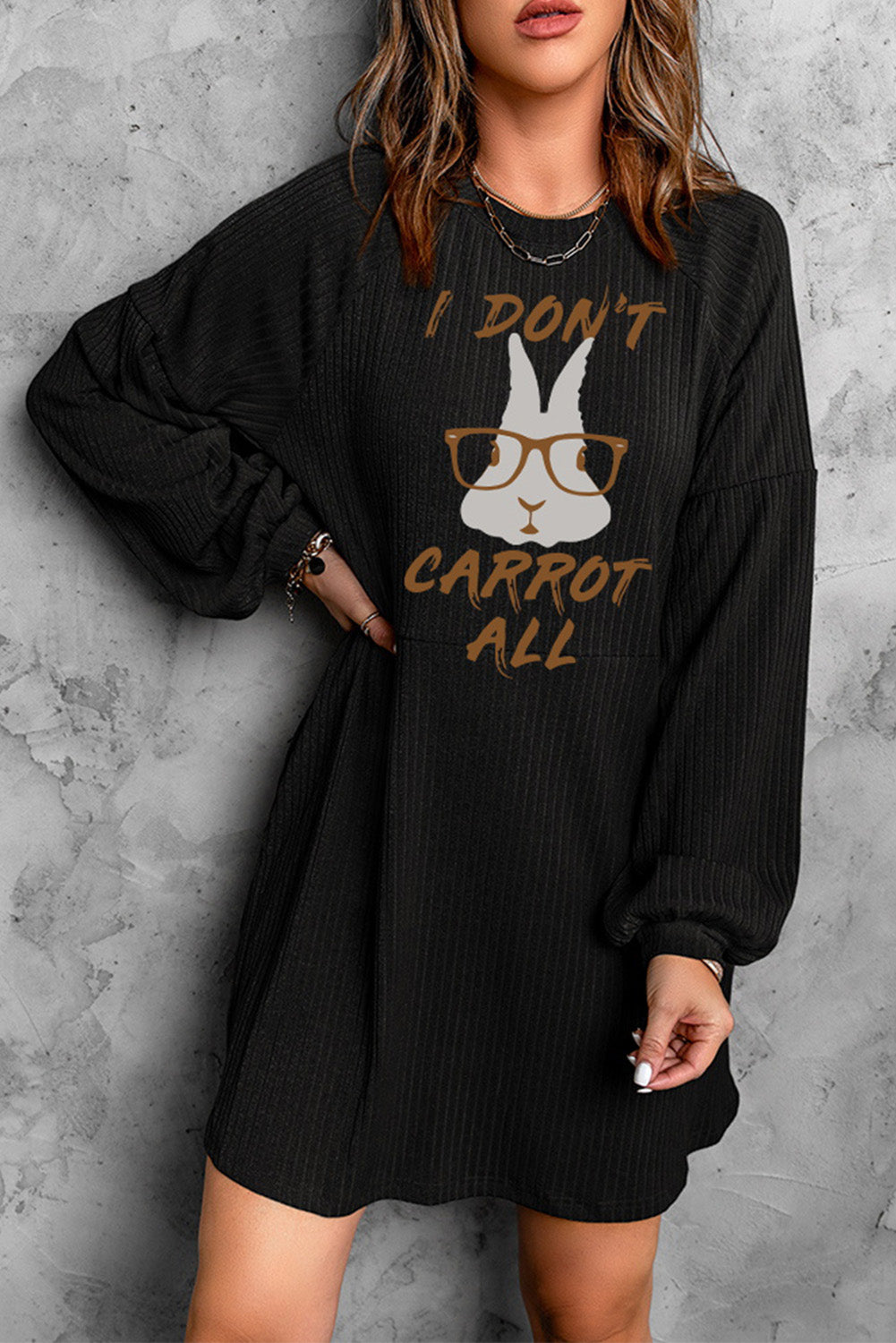 Womens Casual Long Sleeve Mini Dress Crew Neck Loose Knit Dress